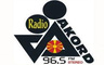 Radio Akord